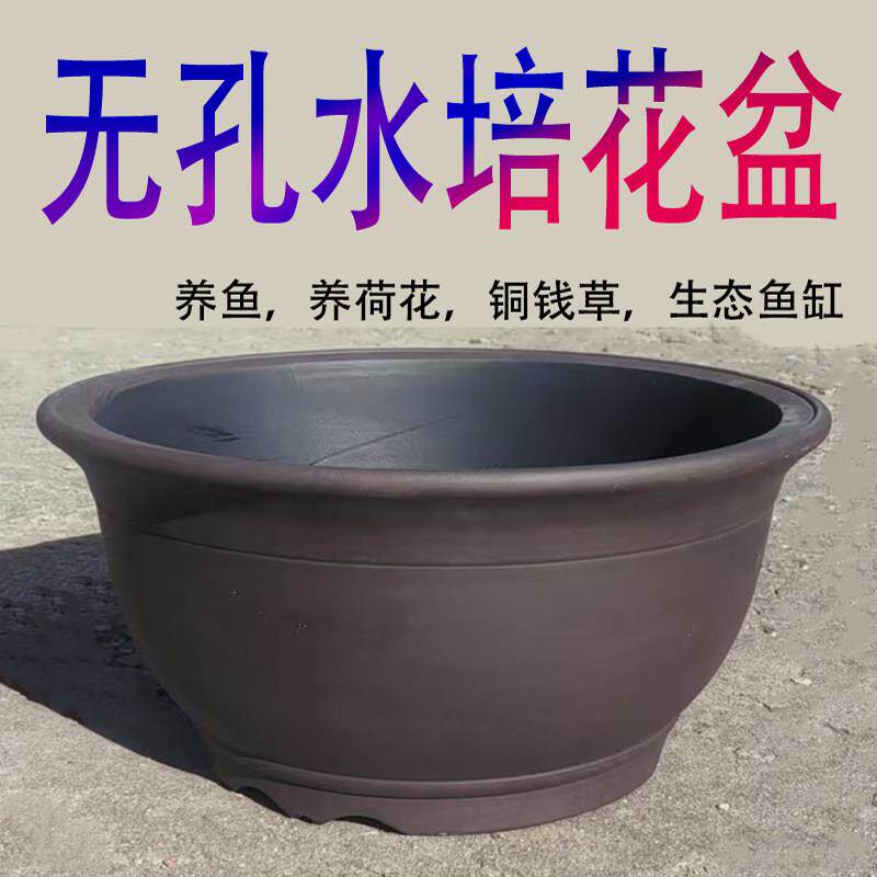 无孔养鱼水培植物紫砂花盆养金鱼铜钱草碗莲睡莲荷花陶瓷生态鱼缸