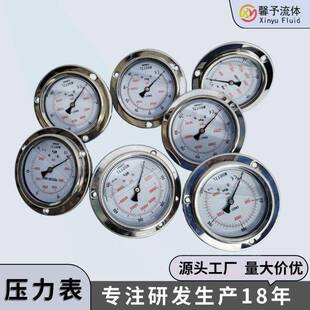 径向超高压表面250MPa耐震压力表内外螺纹品质厂家