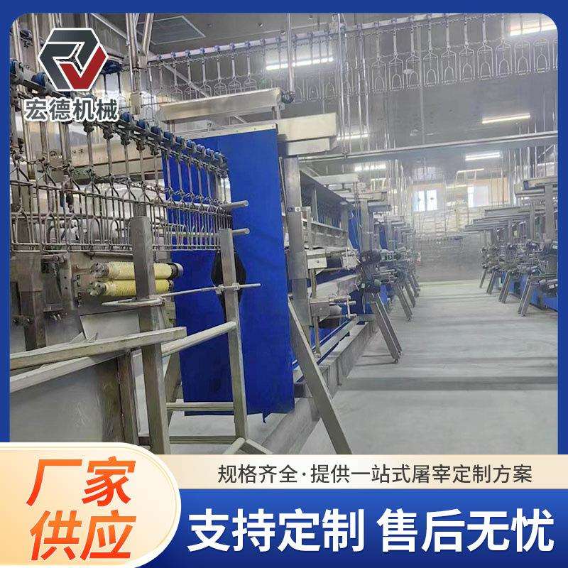 肉鸡淘汰蛋鸡淘汰鸡屠宰脱毛流水线自动杀鸡流水线杀鸡屠宰线