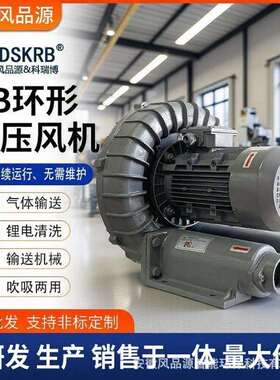 环形高压鼓风机RB耐-055三相38V/40KW吹吸SWW两用高温隔热旋涡风