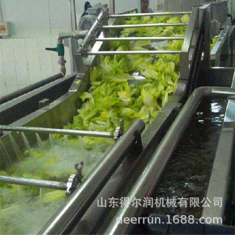 春季热销新品 果蔬蒸汽杀青机 水浴式漂烫机 自动控温 全国联保