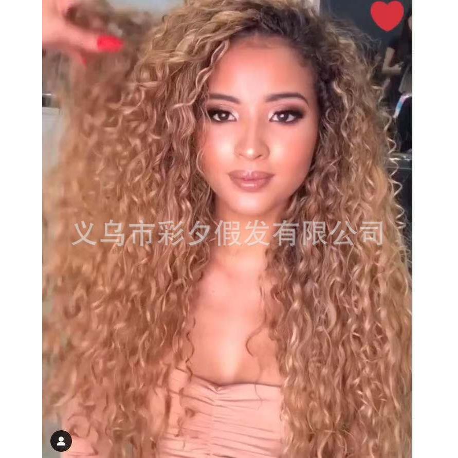 新款直销跨境新款金丝接发假发 欧美长卷发非洲小卷 假发化纤头套