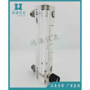 LZB 透明度高重量轻生产 6MT有机玻璃转子流量计面板式