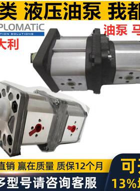 意大利迪普马DUPLOMATIC双联液压齿轮油泵马达GP1R0041RF20N三联