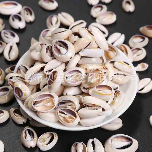30Pcs White Sea Shell Beads For Jewelry Making Cowrie Cowry