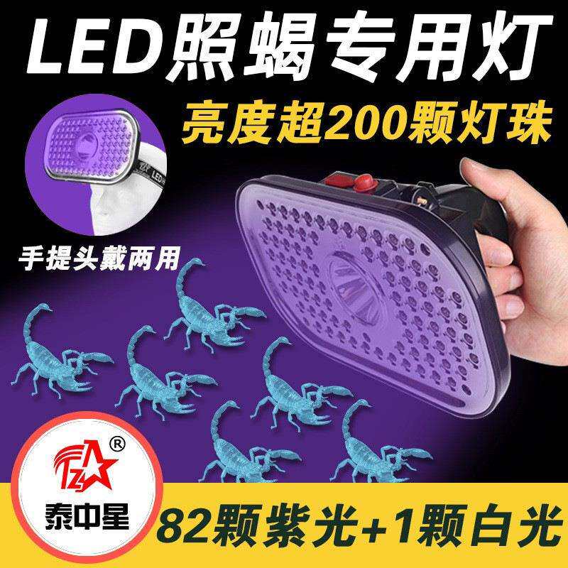 泰中星蝎子灯头戴式照蝎超亮紫光灯手提头戴两用照蝎灯豆虫灯验钞
