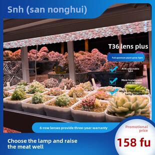 三东汇植物补光灯T36聚光透镜彷太阳全光谱室内家用Led多肉植物灯