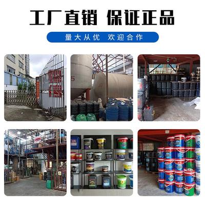 粤信多功能斯拿水界面剂墙固桥梁混凝土内外墙防腐抗碱环氧封闭底