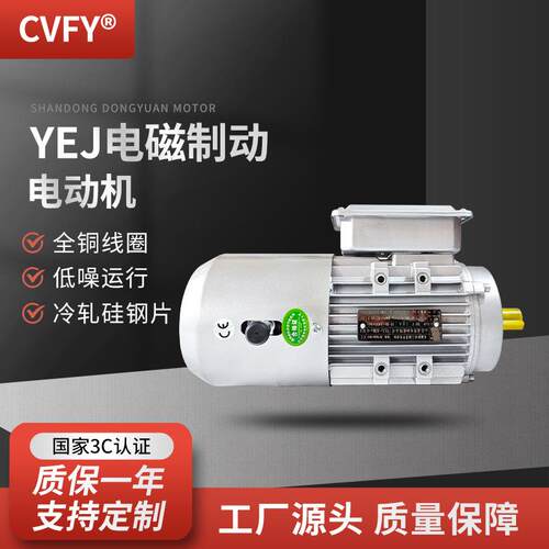 YEJ电磁制动电机 100L1/L2-4极 2.2KW-3千瓦立式刹车三相电动机