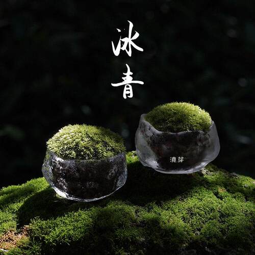 茶室案头桌面小景苔藓趣味盆栽办公室摆件书房高级质感