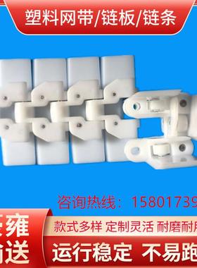 RT114侧翼带滚珠链板| |宽度114白色输送链板 链板厂家