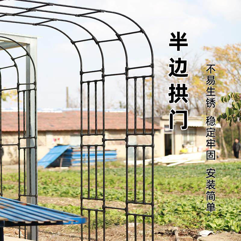 月季半边花架爬藤架拱形门葡萄攀爬支架藤架户外花园入户庭院架子