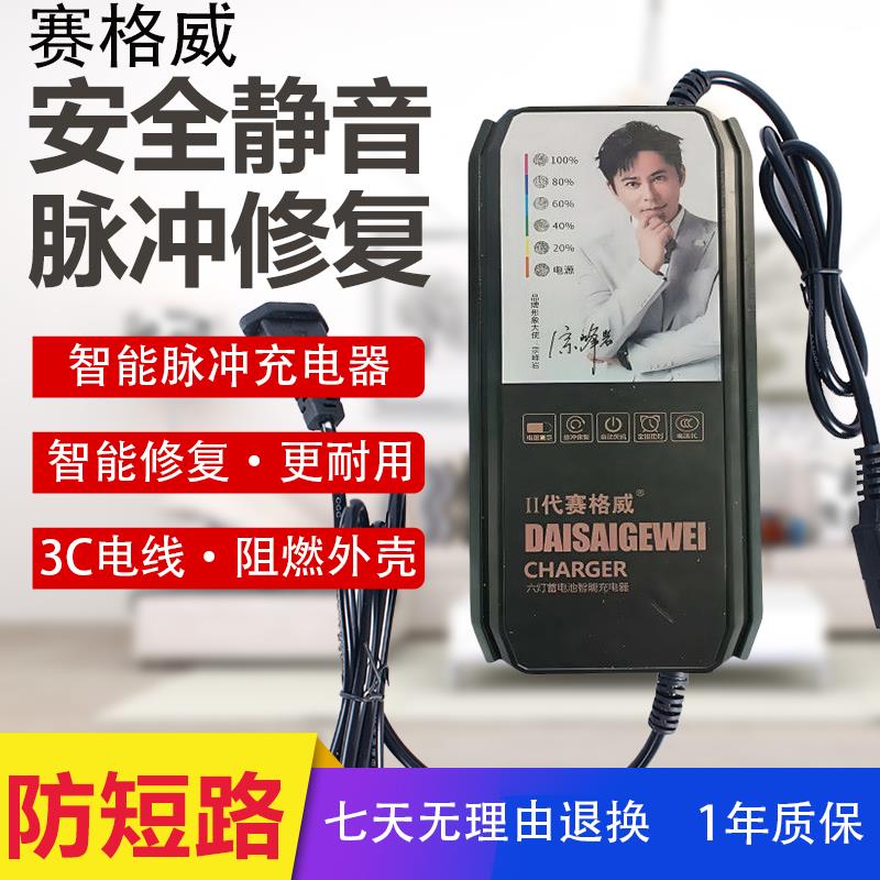 充满自停电动车充电器60V72V20Ah赛格威脉冲全自动新款充电器三孔