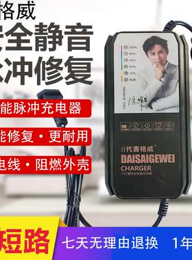 充满自停电动车充电器60V72V20Ah赛格威脉冲全自动新款充电器三孔