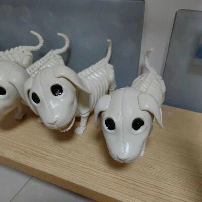 Haunted House Skeleton Decoration Realistic Dog Skeleton