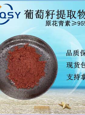 葡萄籽提取物95%原花青素 现货直销水溶 OPC葡萄籽原花青素粉包邮