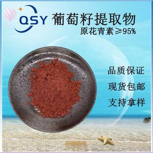 葡萄籽提取物95%原花青素 现货直销水溶 OPC葡萄籽原花青素粉包邮