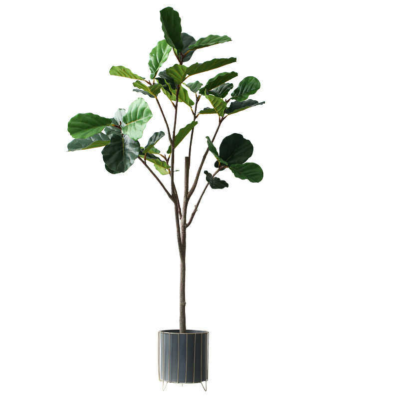 北欧植物盆栽琴叶榕大型绿植落地免浇水盆景室内创意摆件盆栽