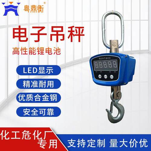 100kg小称量吊秤高精度小吊秤工业用吊钩秤直视型小吊钩秤