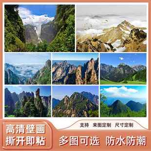 有山无水大靠山招财高山大山图贴画自粘装 饰画背景墙贴客厅山水画