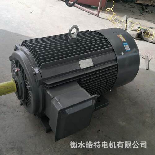 YE3YE4三相异步电动机380V工业交流水泵风机电机30KW大功率机械
