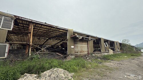 3月22日宣城市禽业公司有机肥厂房地产及附属物、附属工程网络拍卖公告