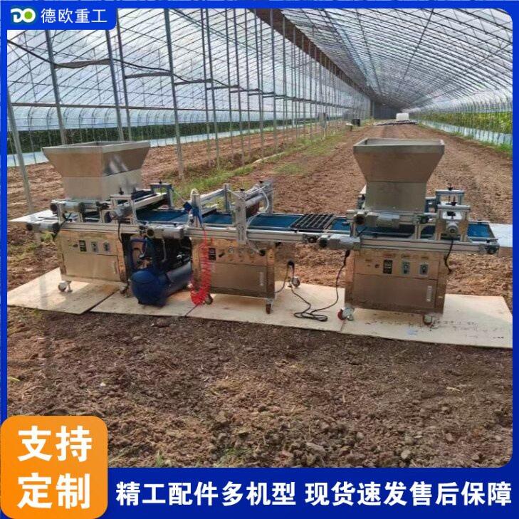 全自动铺土压穴播种机 蔬菜花卉种子点播机 针吸式穴盘育苗播种机