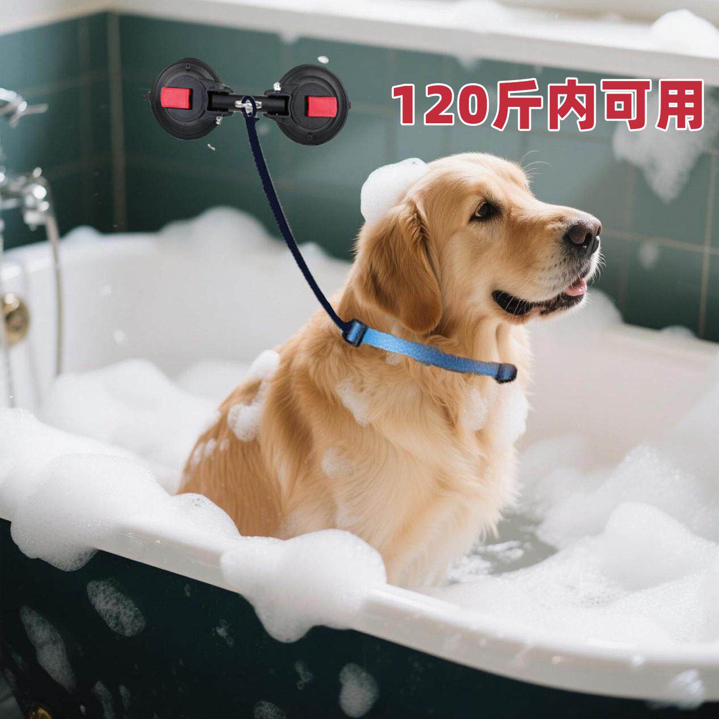 大型犬狗狗洗澡固定器吸盘吹毛防跑神器专用工具拴狗牵引绳美容台