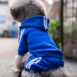 运动卫衣宠物衣服泰迪比熊贵宾博美幼犬小狗狗衣服小型犬秋冬天装