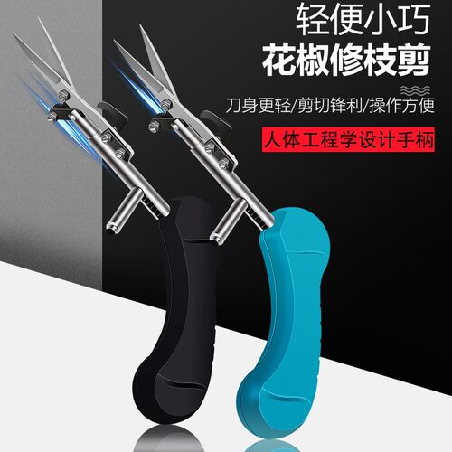 跨境直供尖头采果剪家用采摘花椒枸杞花艺剪刀插花剪枝修枝剪树枝