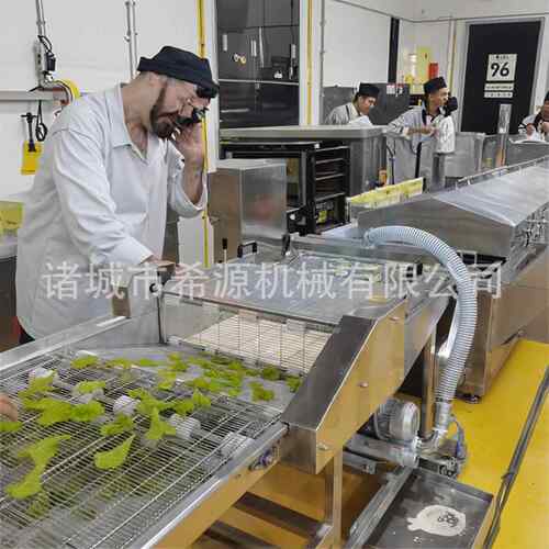 自动上全机粉淋浆 小黄鱼粉设备 裹茄盒CAP藕合淋浆机器