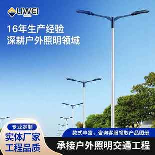 新农村30wled户外路灯厂家直销60w路灯头小金豆路灯仿飞路灯