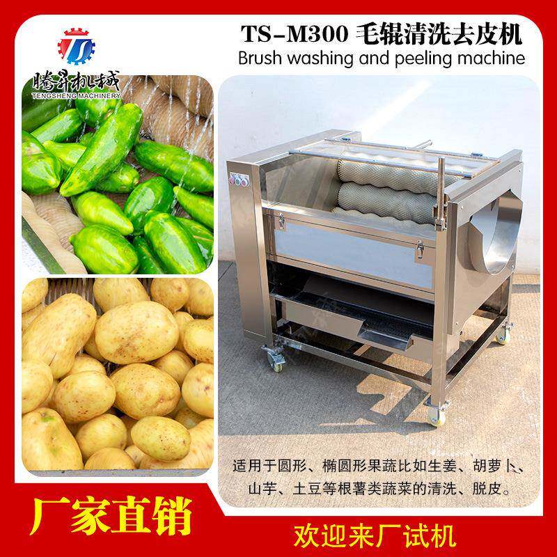 不锈钢毛辊清洗机果蔬清洗去皮机土豆清洗脱皮机厂家直销