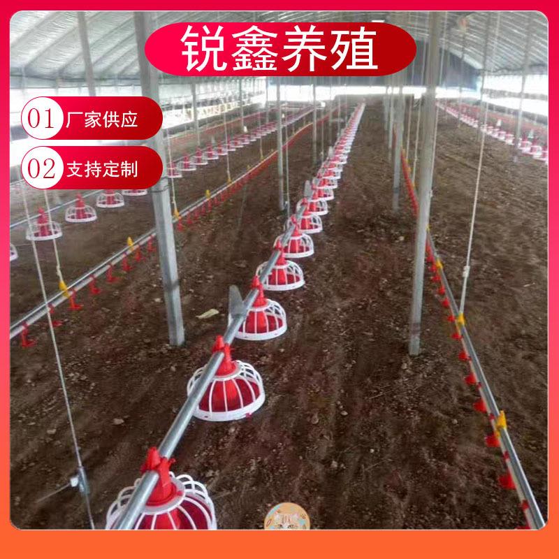 养鸡设备水线料线水鸡用水鸡线散养鸡水线养LDA鸡用自动水线用线