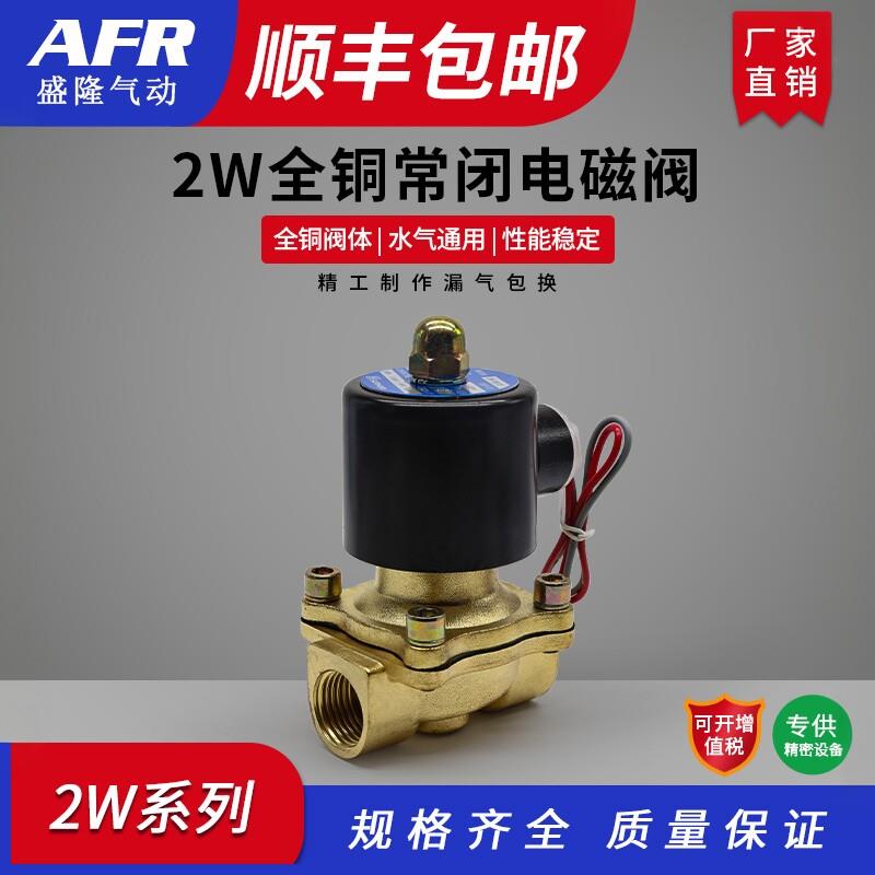 2W全铜电磁阀水阀 DC24V AC220V 油气控制工业用电磁阀