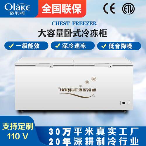 冰柜商用家用海雪速冻冷藏柜冷冻柜卧式冷柜大型厨房冻肉柜雪糕柜