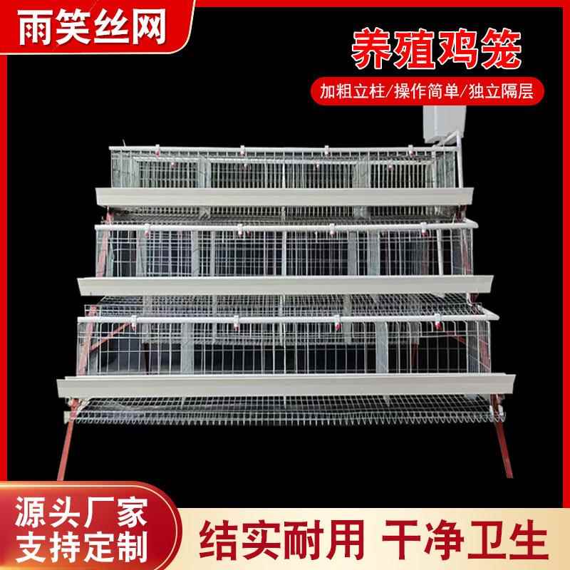 蛋鸡养殖笼三层四层阶梯式蛋鸡笼养殖场母鸡下蛋笼自动接蛋滚蛋笼