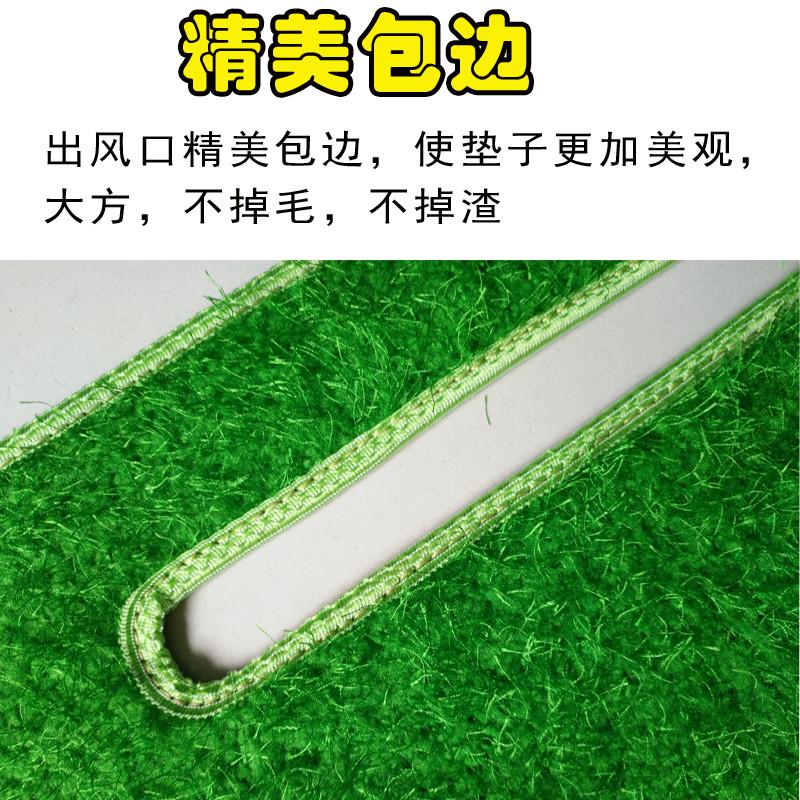 精品红岩杰狮C500货车用品装饰改装内饰用品货车配件绿草坪防晒避