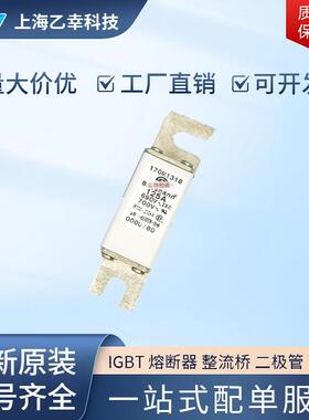 巴斯曼熔断器 170M1313 170M1314 170M1315 170M1316 170M1317