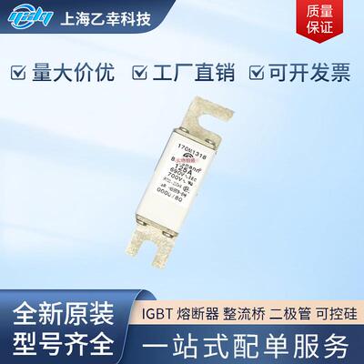 巴斯曼熔断器 170M1313 170M1314 170M1315 170M1316 170M1317