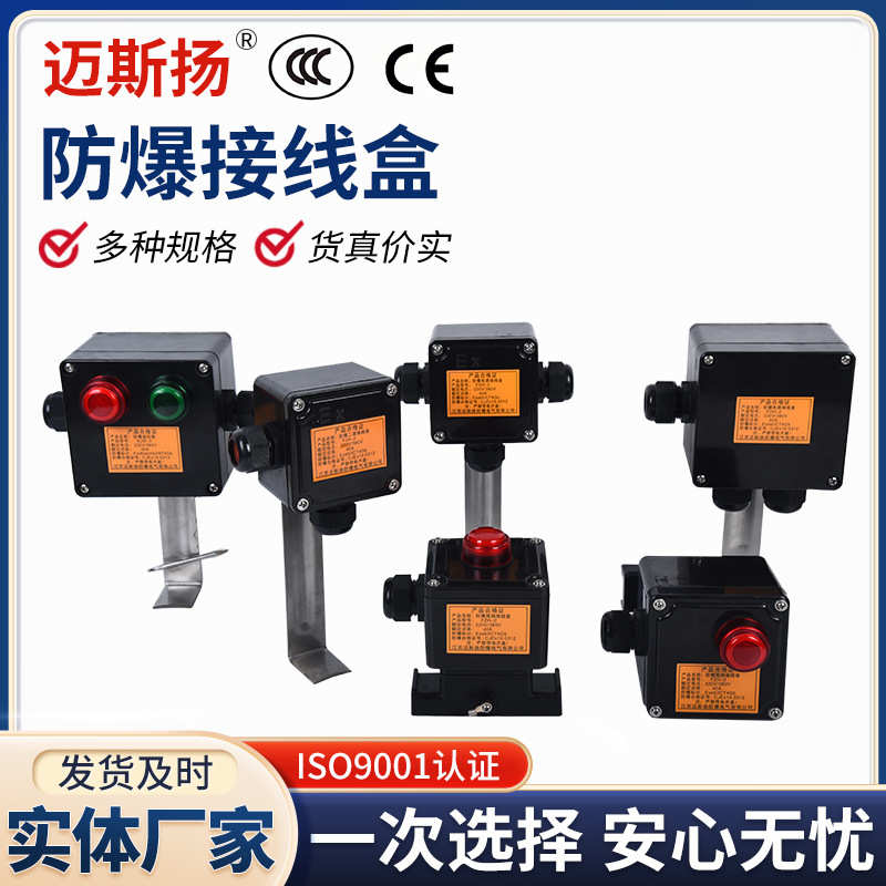 带带温控灯 防爆带带接线盒电电指示灯热带伴 热电源接线盒器灯伴