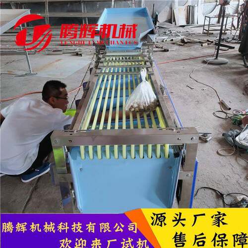 常规樱桃分选机 大樱桃平行轨道选果机 分级机 型号齐全