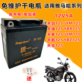 雅马哈125天天戟ybrjym125摩托车统一免维护蓄电池12v5a干电瓶