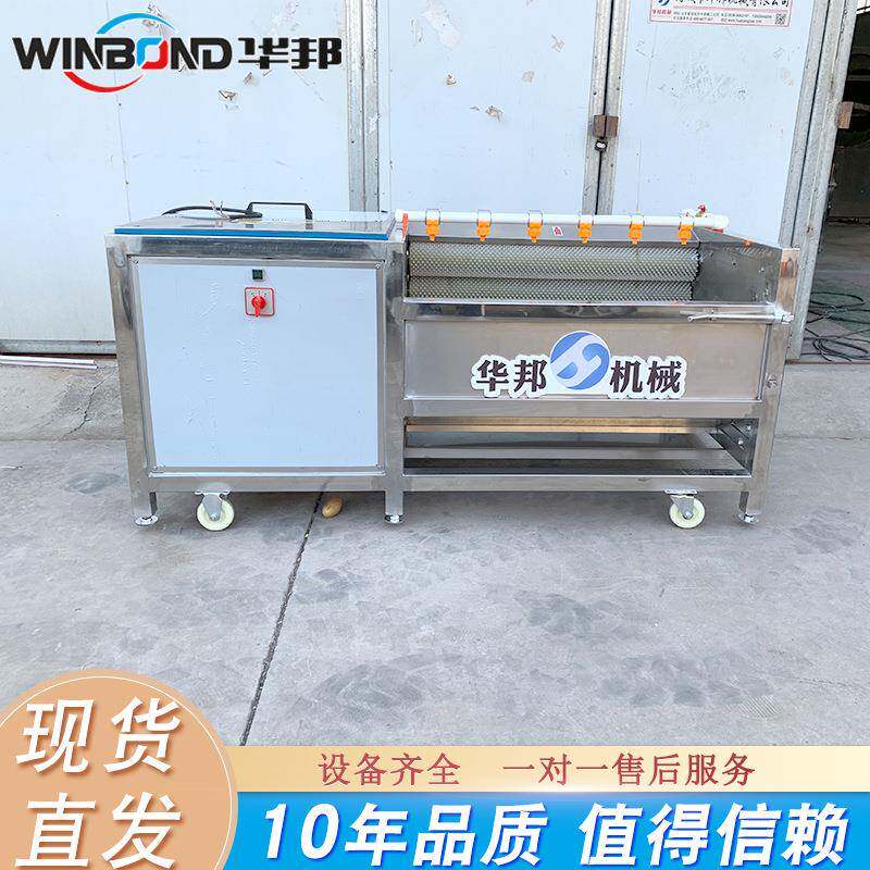 厂家供应 红薯加工去皮清洗设备 越南地瓜清洗机 毛辊清洗机