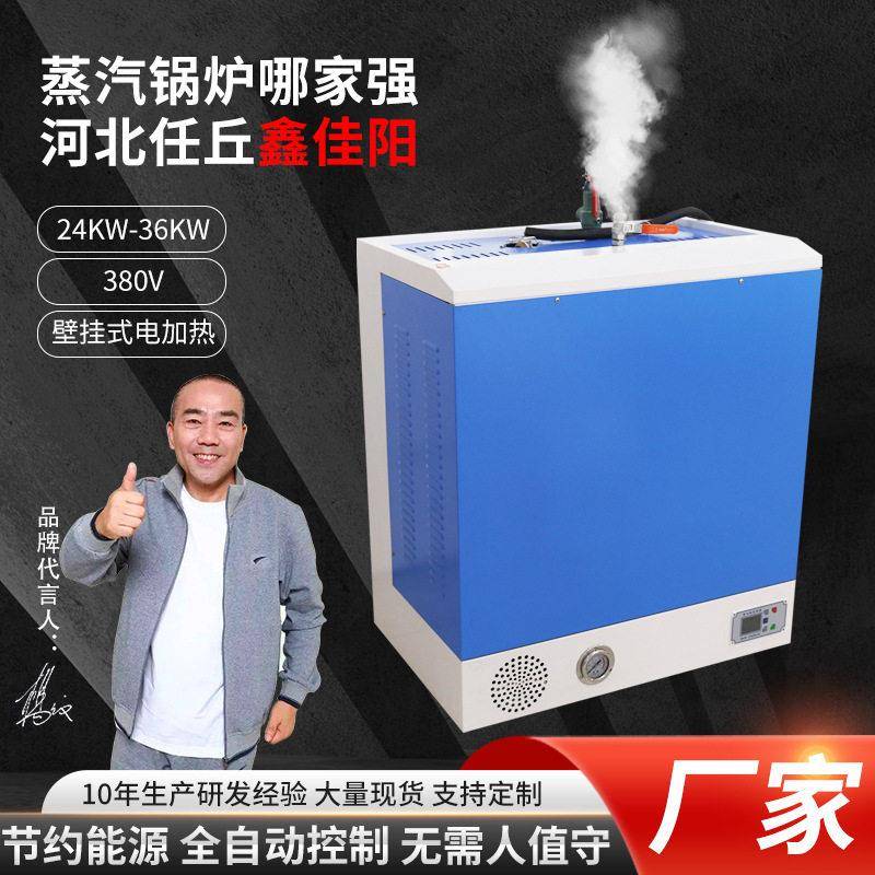 厂家供应加热壁挂式蒸汽发生器24-36KW水泥养护服装整烫蒸汽锅炉