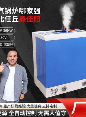 厂家供应加热壁挂式蒸汽发生器24-36KW水泥养护服装整烫蒸汽锅炉