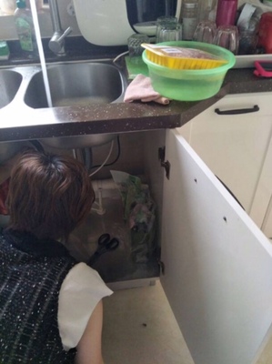 德国惠妈垃圾处理器真实使用反馈，图文分享评测揭秘