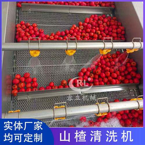 草莓喷淋式清洗成套设备果蔬清洗去泥去杂去油污气泡清洗机洗菜机