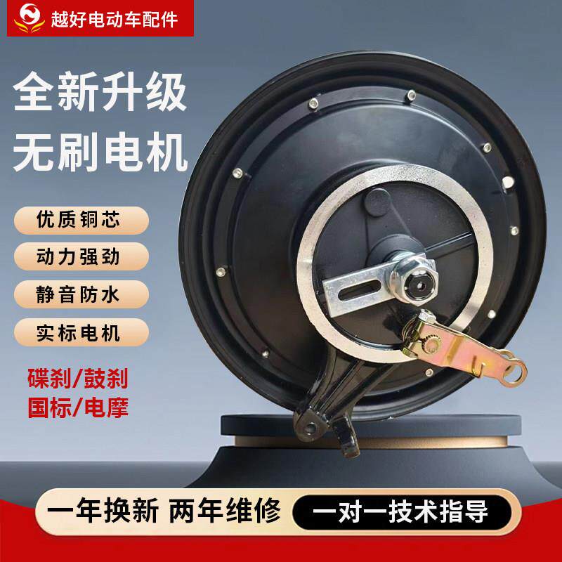 电动车电机10寸国标48V60V72V8001000W大功率电瓶车电摩后轮电机