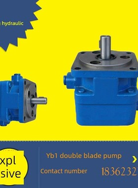 M7130平面磨床油泵YB1-100叶片泵M7140/M7132/7160液压润滑泵配件